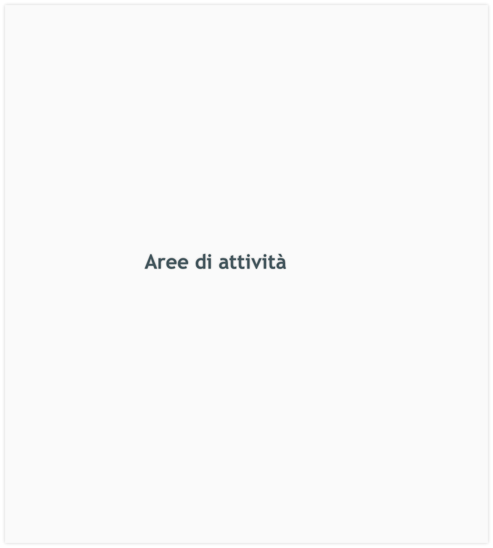 Aree di attività
